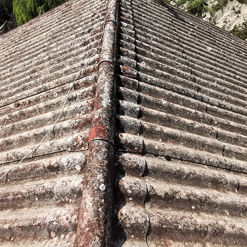 Création de jardins